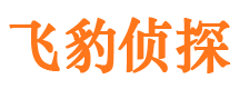 文县侦探调查公司